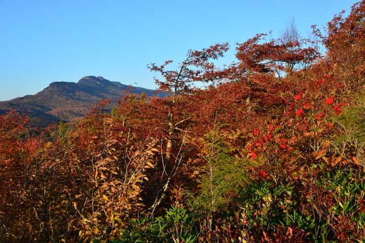 tlb_101816_1997.JPG